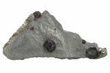 Plate of Five Red Embers Garnets in Graphite - Massachusetts #272710-1